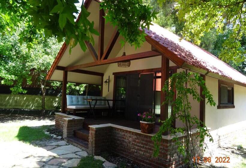 Nocleg ze śniadaniem Gaia Koru Bungalows