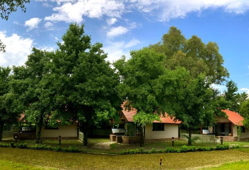 Nocleg ze śniadaniem Gaia Koru Bungalows