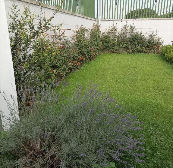 ベッドアンドブレックファースト La Suite Della Casa Bianca