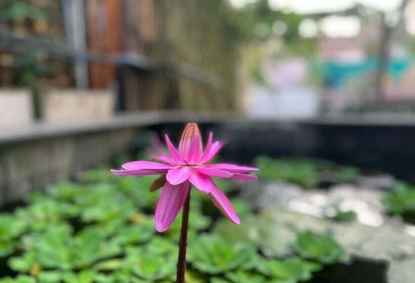 تختخواب و صبحانه đoàn Kết Homestay