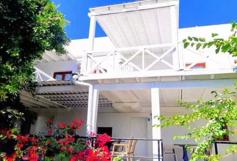 Benjamin Otel Gumusluk