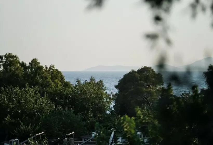 Benjamin Otel Gumusluk