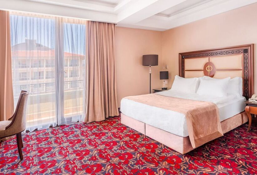 فندق Atatürk Palas Thermal Spa & Convention Center