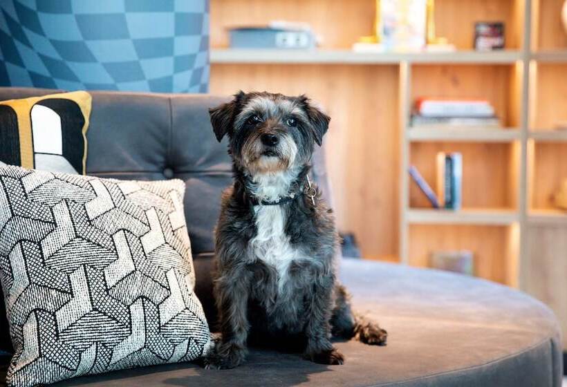 Hotel Residence Inn By Marriott The Hague