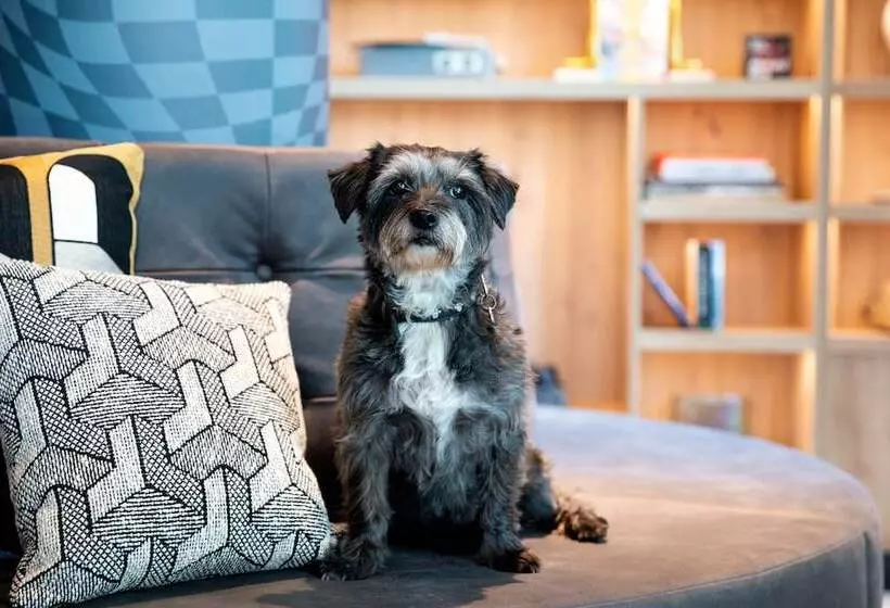 Hotelli Residence Inn By Marriott The Hague