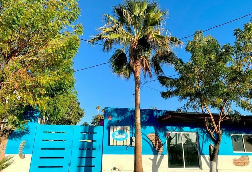 Peace Hostel Mx