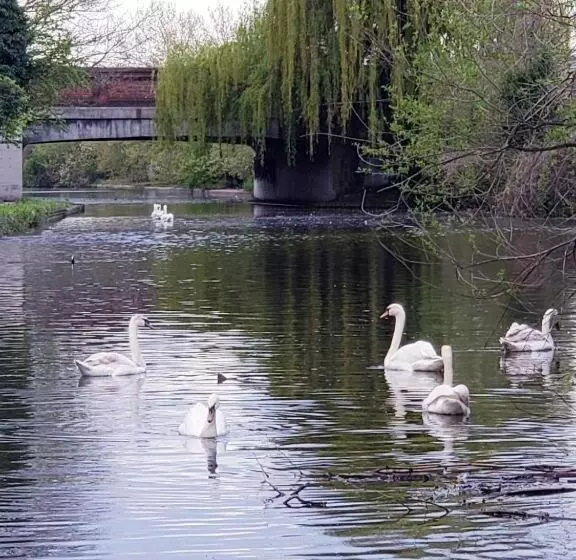 Majatalo Vibrant Single Room Only For One Adult