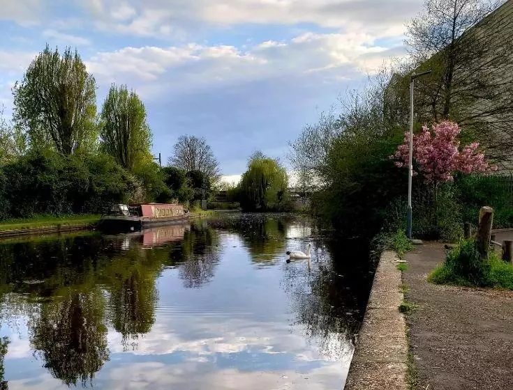 Majatalo Vibrant Single Room Only For One Adult