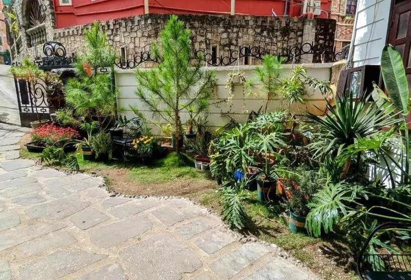 پانسیون Wasabi House Homestay Bên Chợ đà Lạt