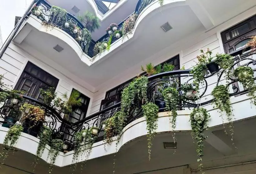 پانسیون Wasabi House Homestay Bên Chợ đà Lạt