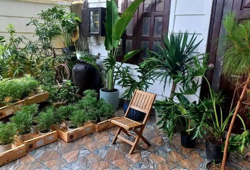 پانسیون Wasabi House Homestay Bên Chợ đà Lạt
