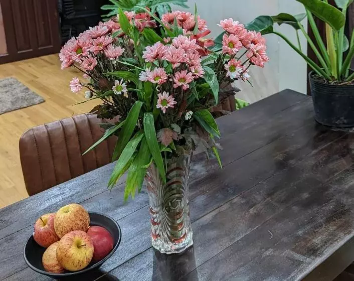 پانسیون Wasabi House Homestay Bên Chợ đà Lạt