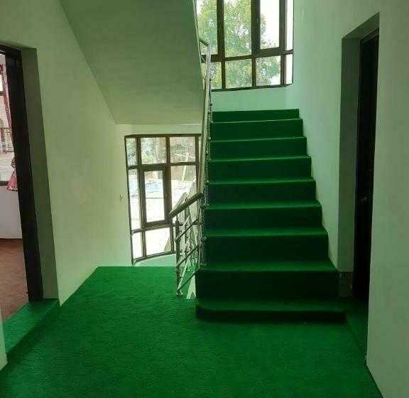 بنسيون Aisha Guest House