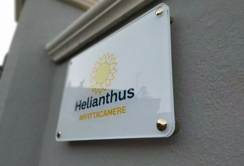 Majatalo Helianthus
