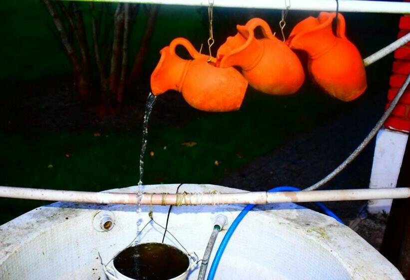 Пансион Pousada Terra Prometida