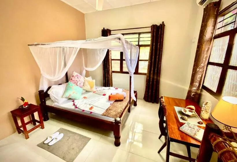 ペンション Villa Orchid Beach Guest House