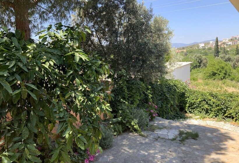 Shanti Too Sığacık Hostel