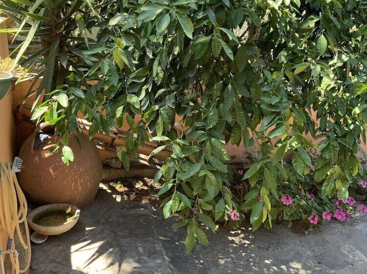 Shanti Too Sığacık Hostel