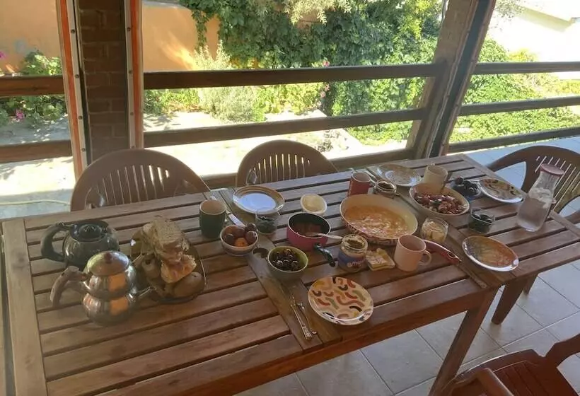 Shanti Too   Sığacık   Hostel