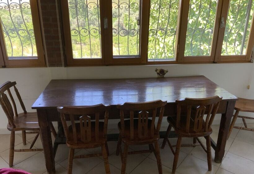 Shanti Too Sığacık Hostel