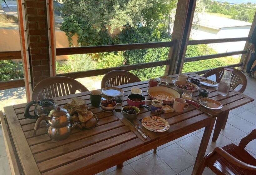 Shanti Too Sığacık Hostel