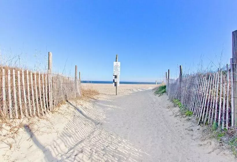 Dune Top