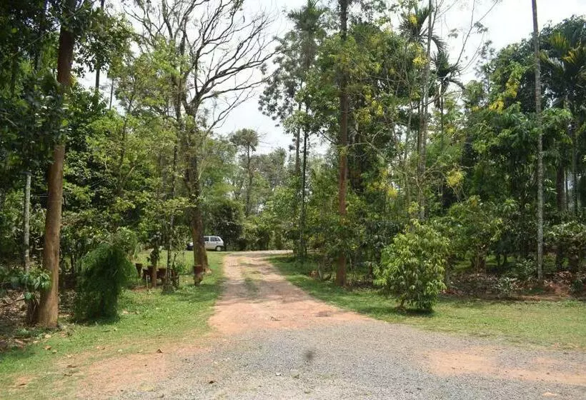 3 Hills Hostel