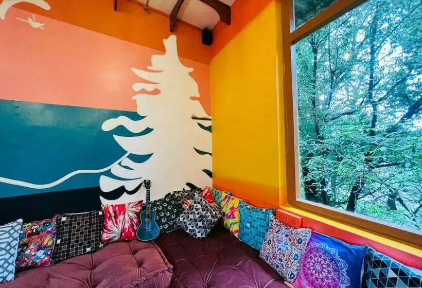 ユースホステル Little Bir