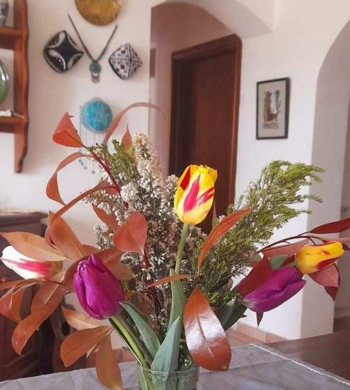 צימר In Vino Veritas