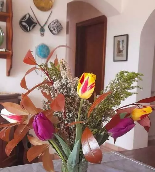 Aamiaismajoitus (B&B) In Vino Veritas