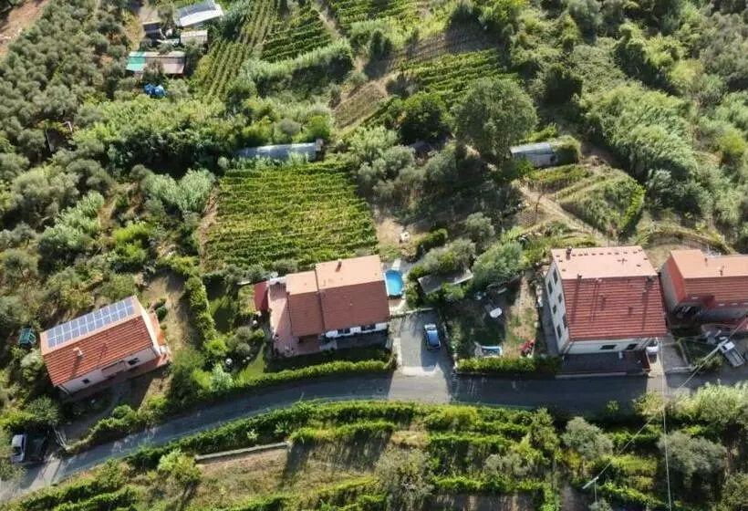 Aamiaismajoitus (B&B) In Vino Veritas