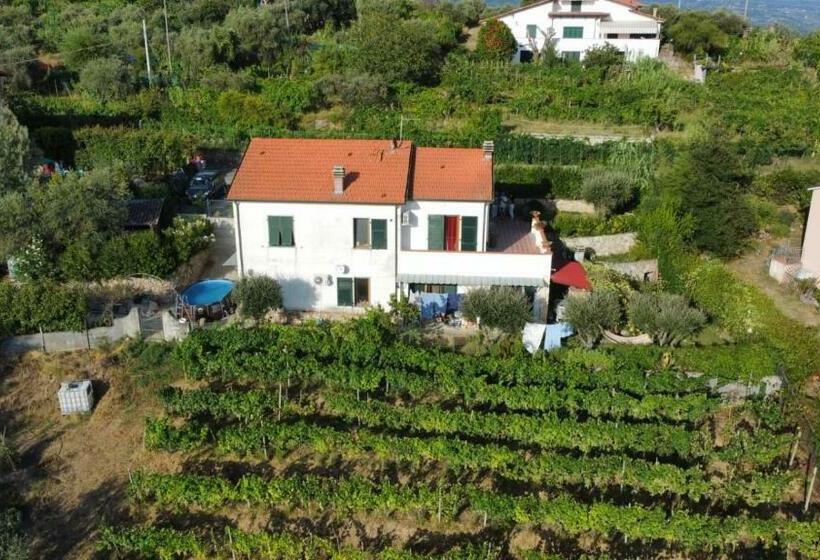 צימר In Vino Veritas