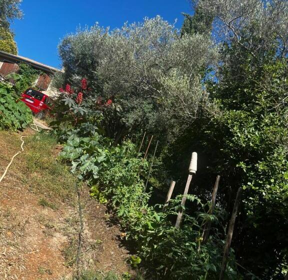 צימר Le Mazet De Choubouloute