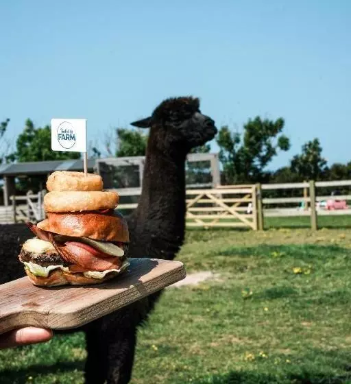 Aamiaismajoitus (B&B) Macdonald S Farm