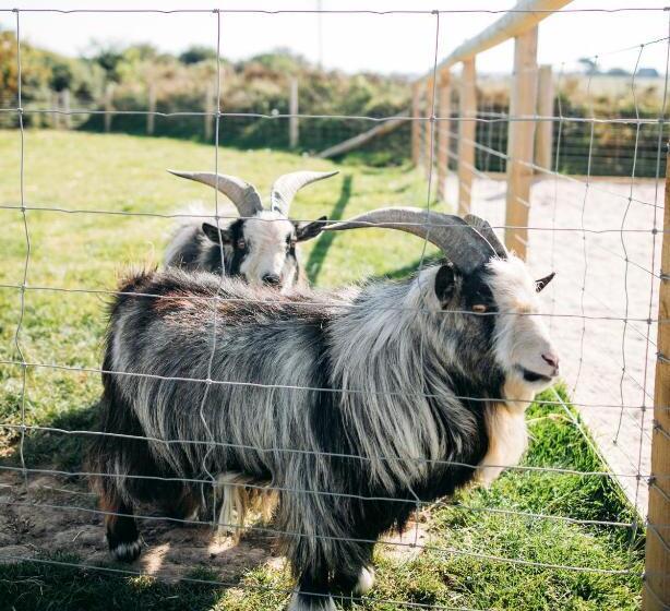 Bed and Breakfast Macdonald S Farm