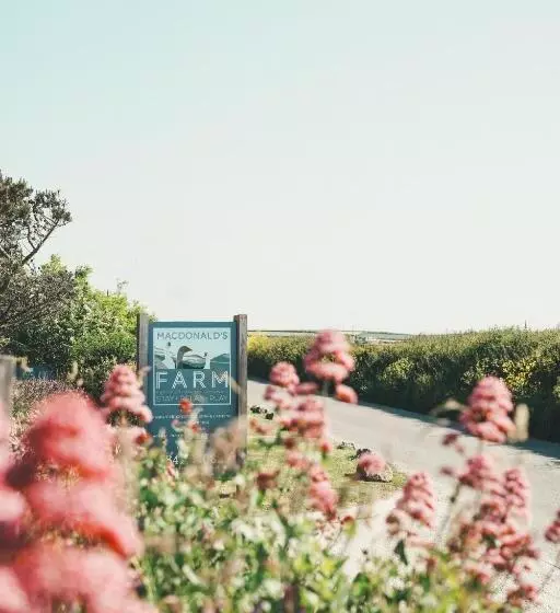 Aamiaismajoitus (B&B) Macdonald S Farm