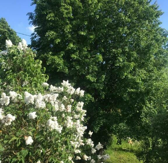 مبيت وإفطار Stairs To Heaven