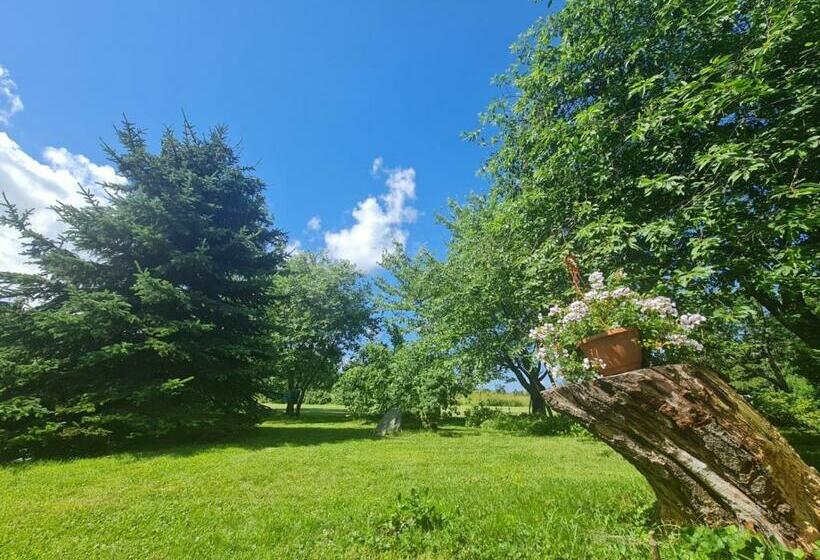 مبيت وإفطار Stairs To Heaven