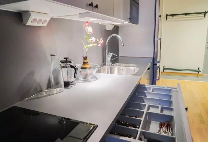 Luxury Business Studio Apartment   Garden View