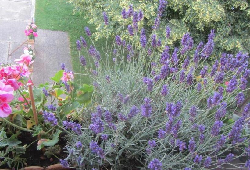 膳宿费 Appartement Am Strand