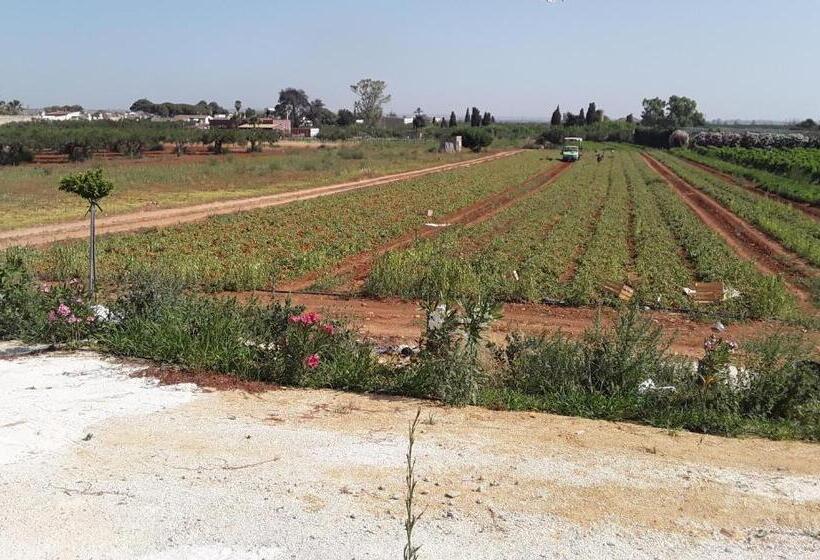 بنسيون La Campagnola