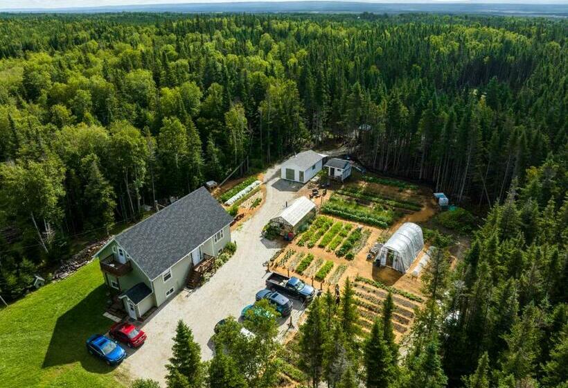 Upper Humber Settlement A Farmstay B&b