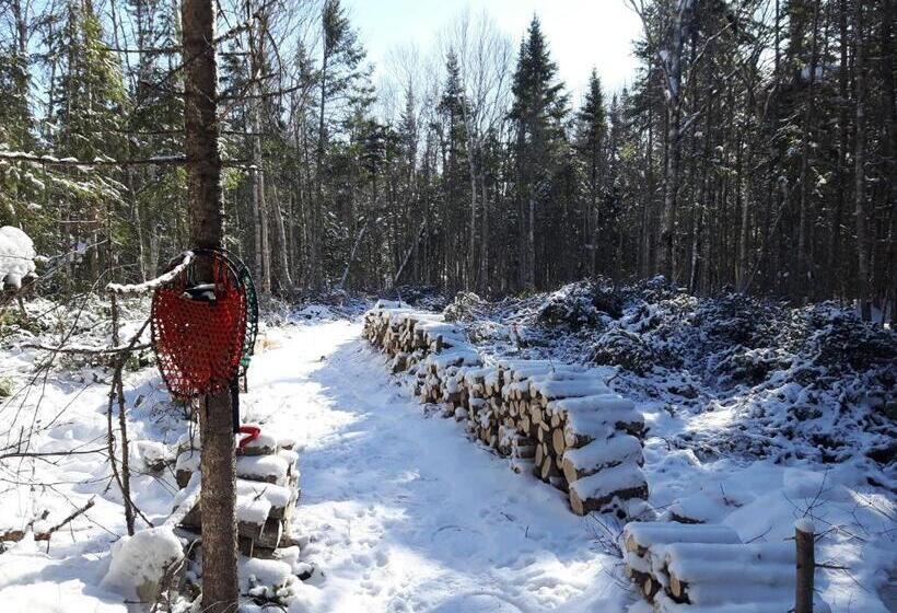 Upper Humber Settlement A Farmstay B&b