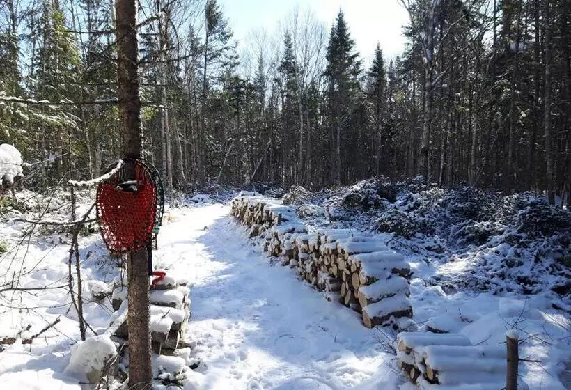 Upper Humber Settlement A Farmstay B&b