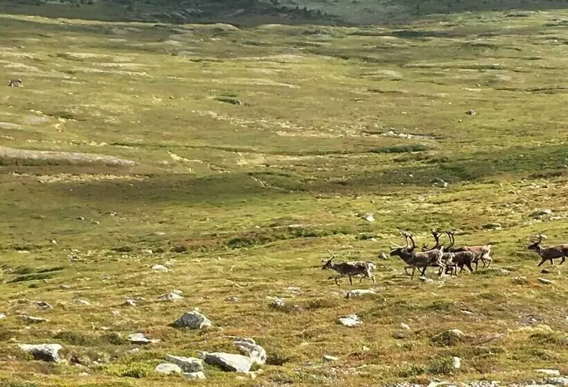 Cozy House On Norderon For Up To 8 People