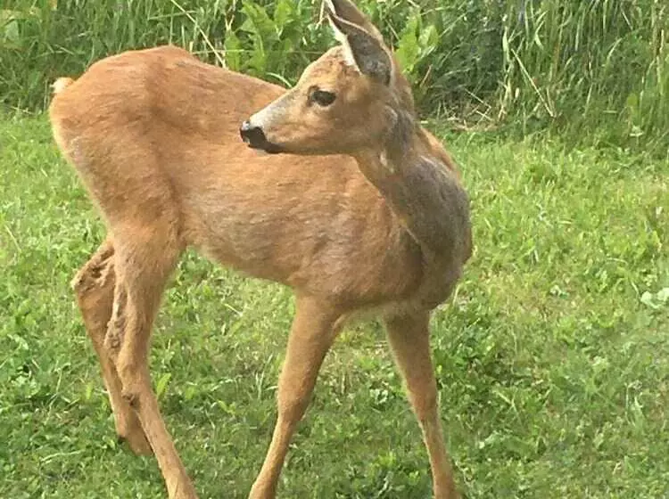 Cozy House On Norderon For Up To 8 People
