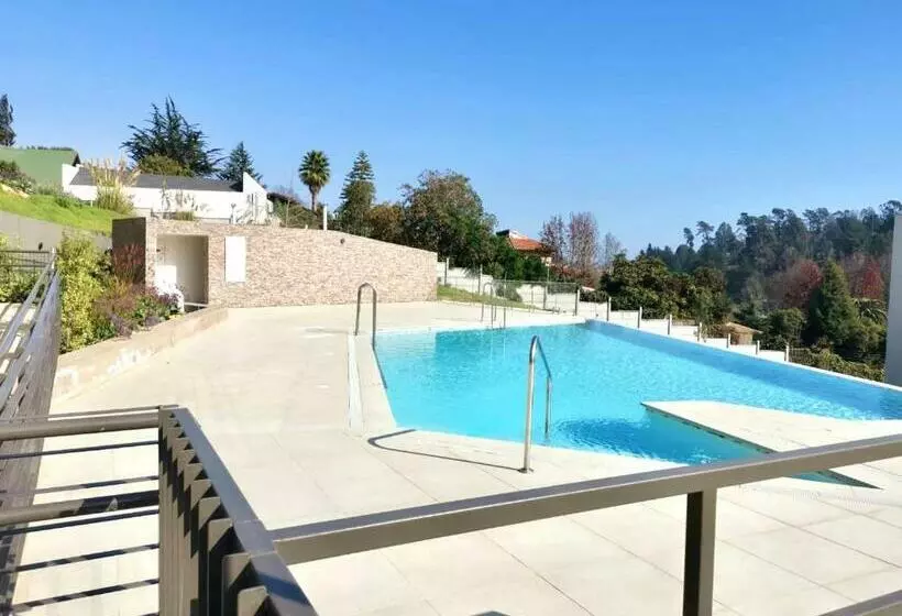 Hermoso Departamento Reñaca Con Piscina