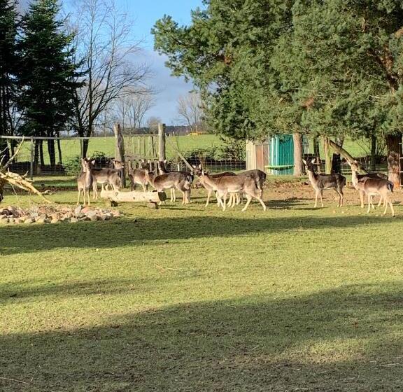 Ferienhaus Am Damwildgatter
