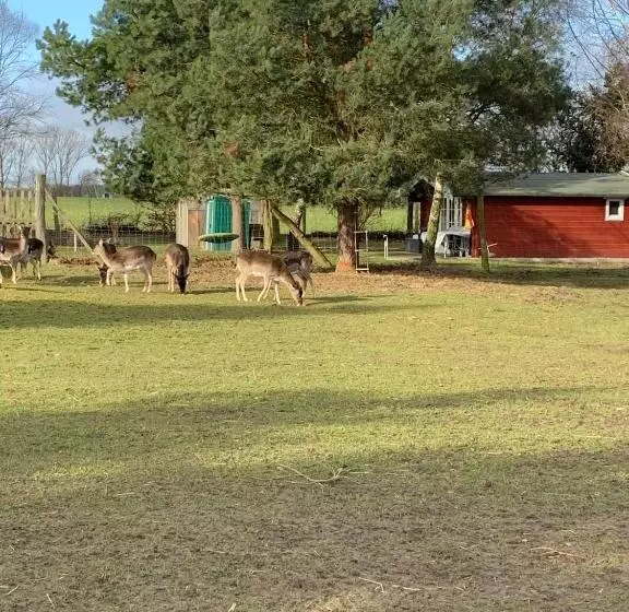 Ferienhaus Am Damwildgatter