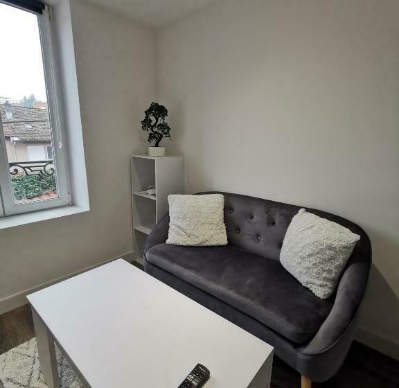 Le Cozy   Hyper Centre   Calme   Moyenne Durée